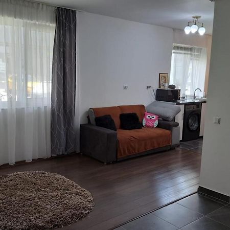 Apartament Cozy Nest Sinnicoara Zewnętrze zdjęcie