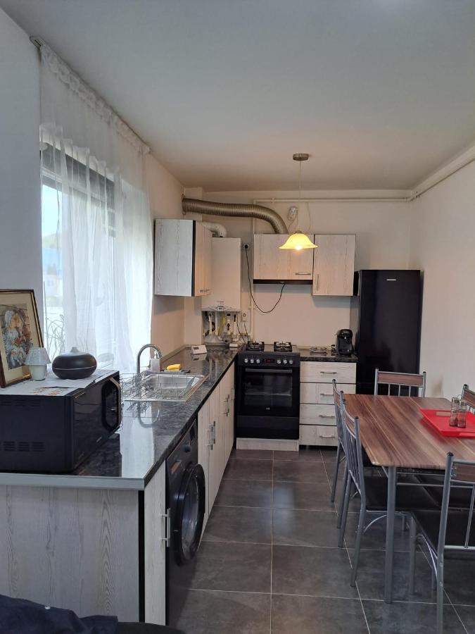 Apartament Cozy Nest Sinnicoara Zewnętrze zdjęcie